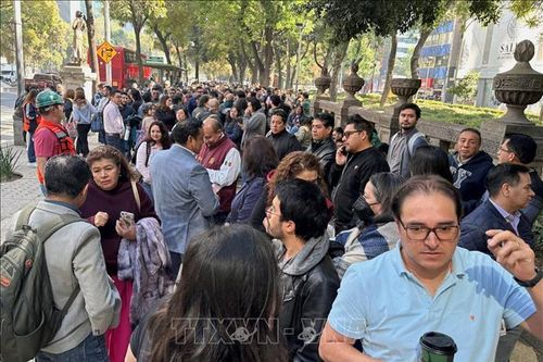 Động đất gây thương vong tại miền Nam Mexico