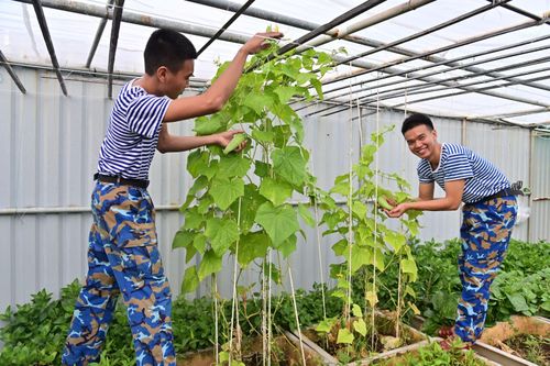 Những 'cột mốc sống' canh giữ biển trời Tổ quốc: Bài 1- Bản lĩnh và tinh thần thép của những chiến sĩ nhà giàn
