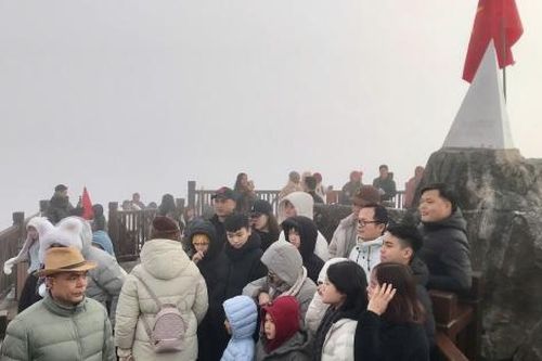 Du lịch Việt Nam sôi động đầu năm 2026