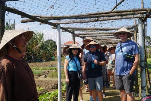 Du khách trải nghiệm làng rau '4 không' tại Đà Nẵng
