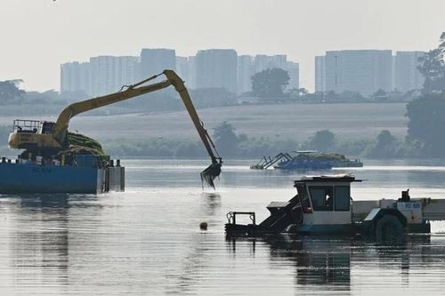 Singapore triển khai trang trại điện mặt trời nổi bao phủ hơn một phần ba hồ chứa Lower Seletar vào năm 2029