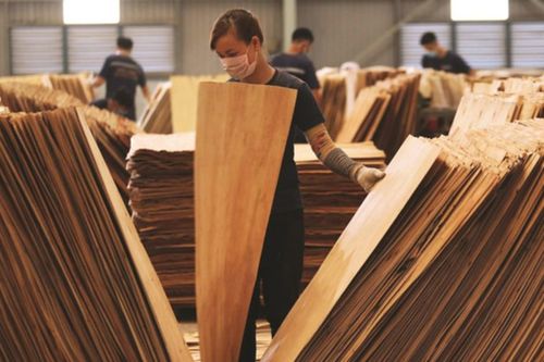 Hoa Kỳ hoãn tăng thuế gỗ: Điều chỉnh không liên quan đến cơ chế thuế đối ứng