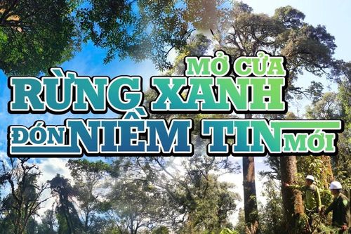 Mở cửa rừng xanh đón niềm tin mới