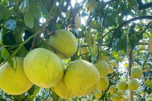 Làm 'hộ chiếu' cho sản phẩm