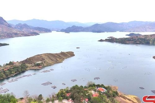 Sơn La vào xuân