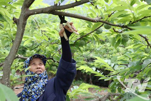 La Hiên chuyển mình từ nội lực