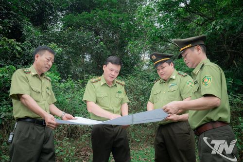 Gian nan công tác bảo vệ rừng từ cơ sở