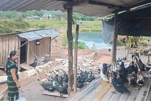 Tự tin làm chủ cuộc sống