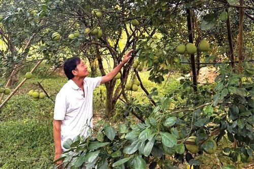 Vẹn nguyên phẩm chất 'Bộ đội Cụ Hồ'