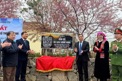 Tuyên Quang: Khai mạc Festival Hoa Mai anh đào 2026 'Lũng Cú – điểm hẹn muôn sắc hoa'