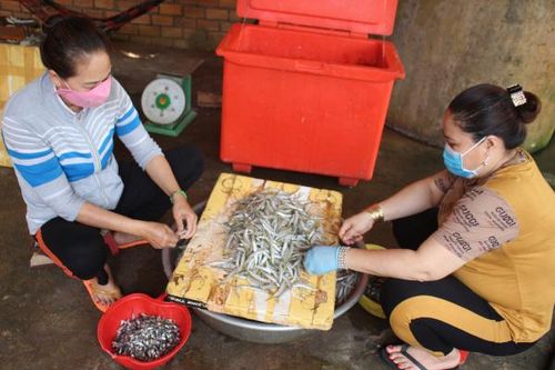 Mùa cá lìm kìm ở hồ Trị An