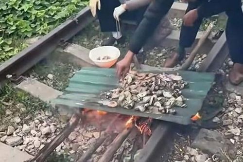 Vợ chồng đốt củi nướng thịt cá trên đường sắt, con gái quay clip tung lên mạng
