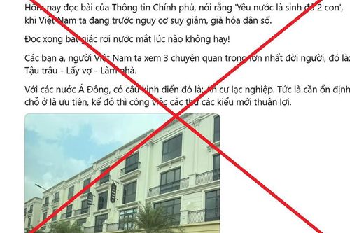 Fanpage Thông tin Chính phủ không có thông điệp 'Yêu nước là sinh đủ 2 con'
