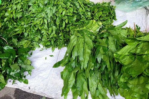 Loại rau mùa đông gặp ở ngoài chợ đừng bỏ qua vì giàu canxi, tốt cho xương khớp, hỗ trợ giấc ngủ, ít phun thuốc