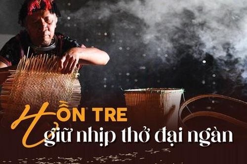 'Hồn tre' giữ nhịp thở đại ngàn