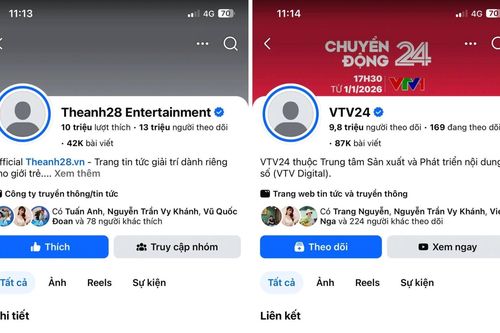 Facebook Thế Anh 28, VTV24, Độ Mixi biến mất
