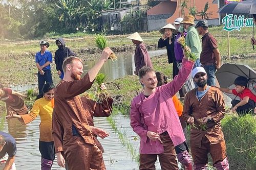 Du khách hào hứng lội ruộng, xuống đồng cấy lúa cùng nông dân