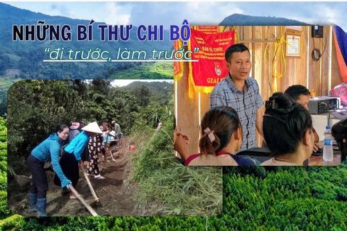 Những Bí thư chi bộ 'đi trước, làm trước'