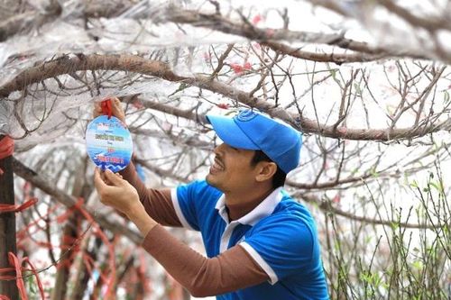Những chuyến tàu chở mùa xuân từ đất liền ra đảo