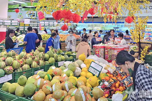TP Hồ Chí Minh: Sôi động thị trường mua sắm hàng hóa dịp Tết Dương lịch