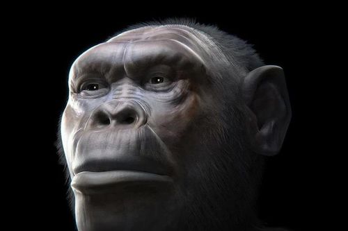 Hai loài người bí ẩn đi cùng tổ tiên Homo erectus rời khỏi châu Phi