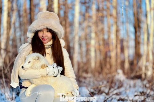 Độc lạ dịch vụ ôm cáo tuyết tại 'thủ phủ băng giá' Cáp Nhĩ Tân