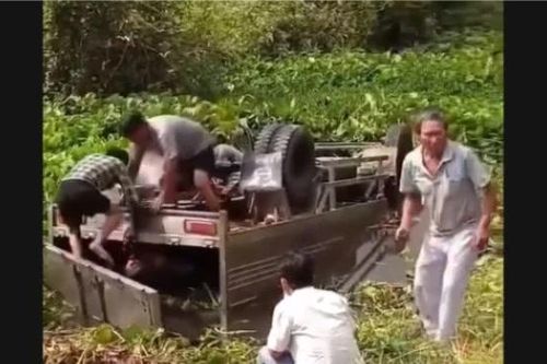 Xe tải chở bò lật xuống kênh, tài xế tử vong