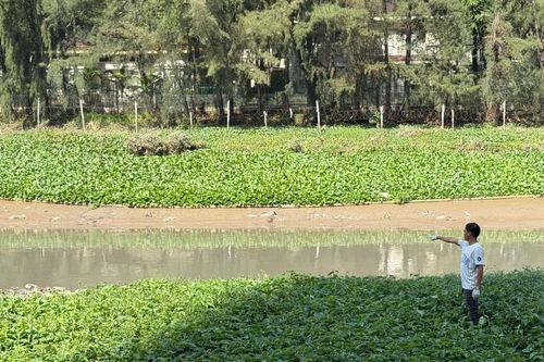 Phát hiện thi thể nam giới nổi trên rạch ở TPHCM