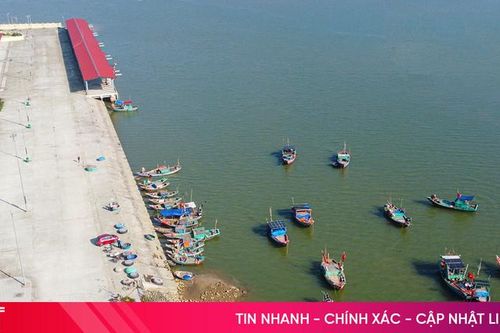 Hà Tĩnh phát triển nghề cá bền vững, có trách nhiệm