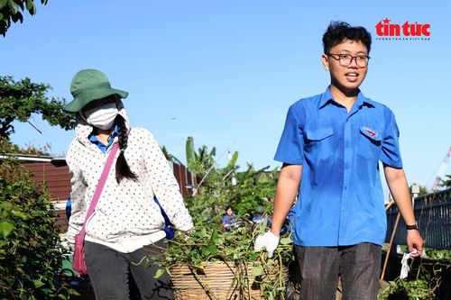 Dấu ấn tình nguyện của tuổi trẻ TP Hồ Chí Minh
