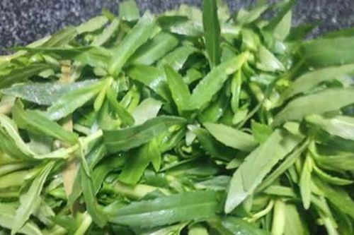 2 loại rau 'khoái khẩu' của người Việt mùa se lạnh dễ là 'ổ sán', nhất là cái số 1 ngoài chợ có đầy