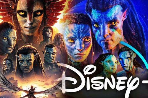 Avatar 3 đưa Disney+ lên ngôi vương toàn cầu