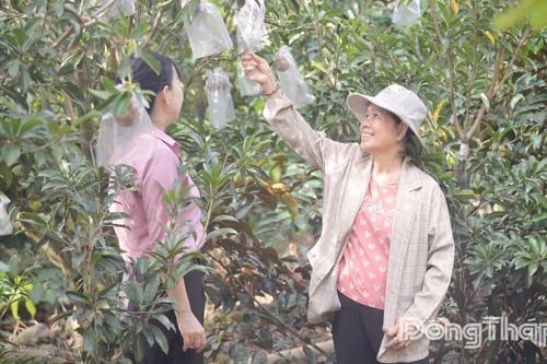 Chuyện khởi nghiệp của người phụ nữ U60