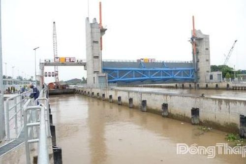 Đồng Tháp: Chủ động vận hành công trình thủy lợi phòng, chống triều cường rằm tháng 11