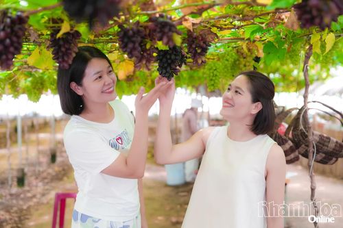 Du lịch phía nam Khánh Hòa nhộn nhịp dịp Tết Dương lịch