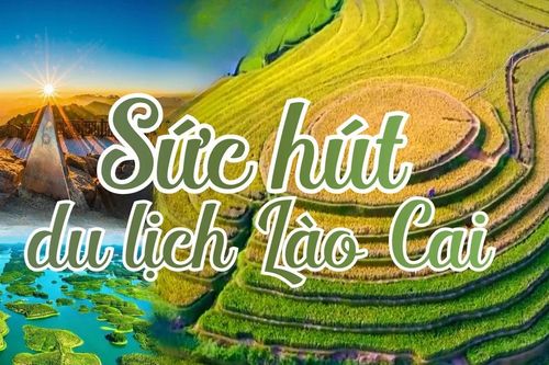Sức hút du lịch Lào Cai