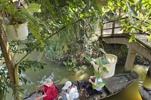 Miền Tây hút khách dịp Tết Dương lịch: Trải nghiệm bơi xuồng và 'giao lưu' cá sấu