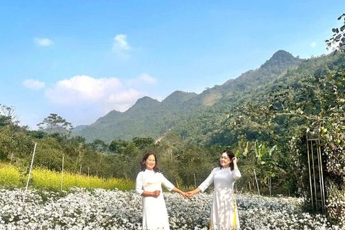 Phú Thọ đón khoảng 305.000 lượt khách du lịch dịp nghỉ Tết Dương lịch