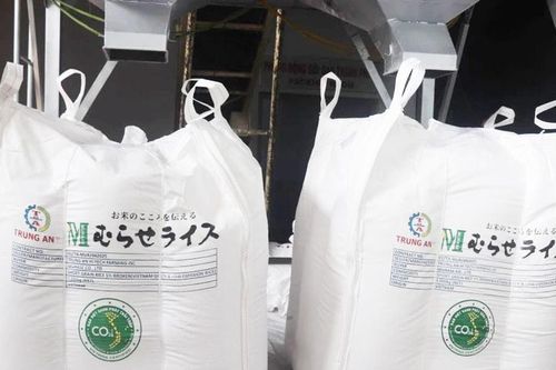 'Gạo Việt xanh, phát thải thấp' chinh phục thị trường khó tính