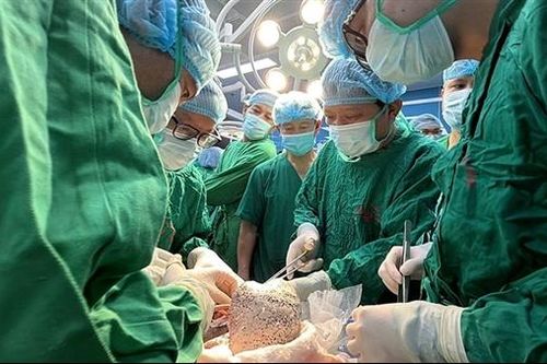 Những lá phổi hồi sinh sự sống