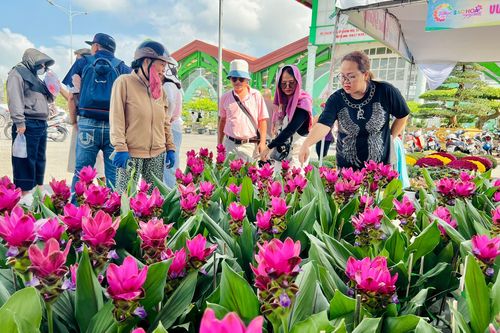 Giống hoa lạ khiến nhiều người tìm về Làng hoa Sa Đéc để mua bằng được