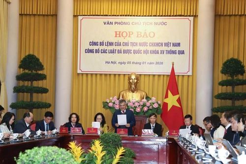 Mới: Từ năm 2026, Công an cấp tỉnh được giám định pháp y thương tích