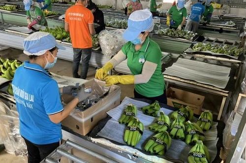 Bầu Đức muốn buông HAGL Agrico