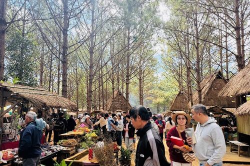 Khép lại Tuần Văn hóa - Du lịch Măng Đen 2026, lan tỏa hình ảnh điểm đến xanh giữa đại ngàn