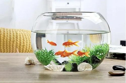 Vật phẩm phong thủy để bàn làm việc được tìm kiếm nhiều dịp đầu năm