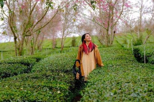 Các địa phương miền Trung bội thu khách du lịch dịp Tết dương lịch