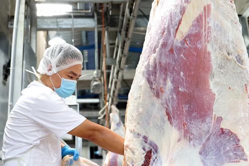 Tây Ninh triển khai tổng điều tra kinh tế