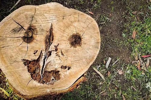 Vì sao nhìn thấy khuôn mặt trên những đồ vật quen thuộc?