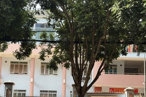 Trung tâm quỹ đất dùng hơn 10 tỷ tiền đền bù giải phóng mặt bằng để chi lương, phụ cấp