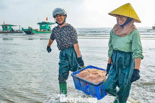 Ngư dân Thanh Hóa vươn khơi thu 'lộc biển' ngày đầu năm